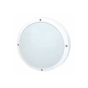 LED ДПП FORS 30W 1800Lm d300х100 6500K IP65 MEGALIGHT (10)