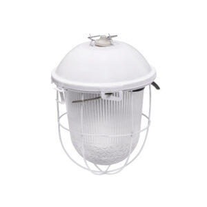 НСП 02-100-003 "Желудь" IP52  (с/реш) (5)