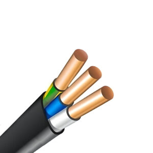 ВВГ п нг (А) 3 х 2,5  0,66 кВ (300)  ГОСТ EKT