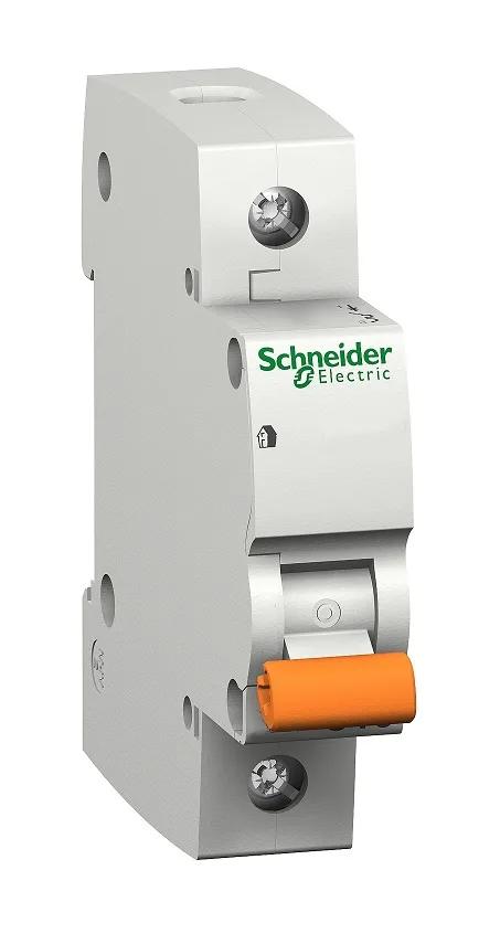 Домовой (6-63 А) Schneider Electric