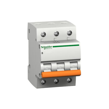 Домовой (6-63 А) Schneider Electric