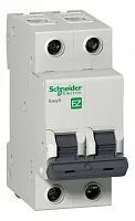 F34225 EZ9 ВА 2ф 25А 4,5кА SchnEl (6)