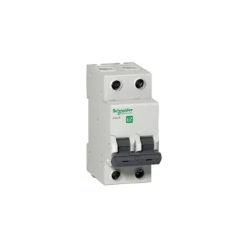 F34263 EZ9 ВА 2ф 63А 4,5кА SchnEl (6)
