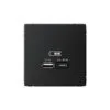 G098 Роз. USB A+C 45Вт высокоскор.заряд., механизм "ARTGALLERY" карбон GAL1029 (1)