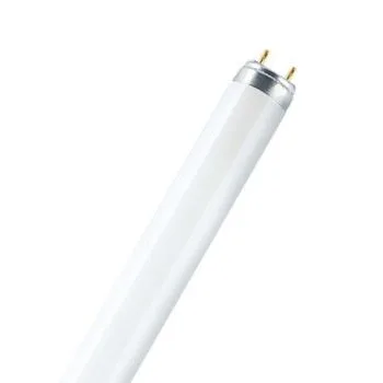L18W/765 T8 OSRAM (25)