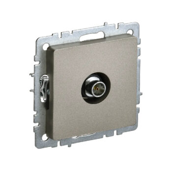 Роз TV оконечная  б/рамки "BRITE" шампань (1/100)