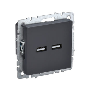 Роз. USB A+A 3,1А б/рамки "BRITE" графит (1/80)