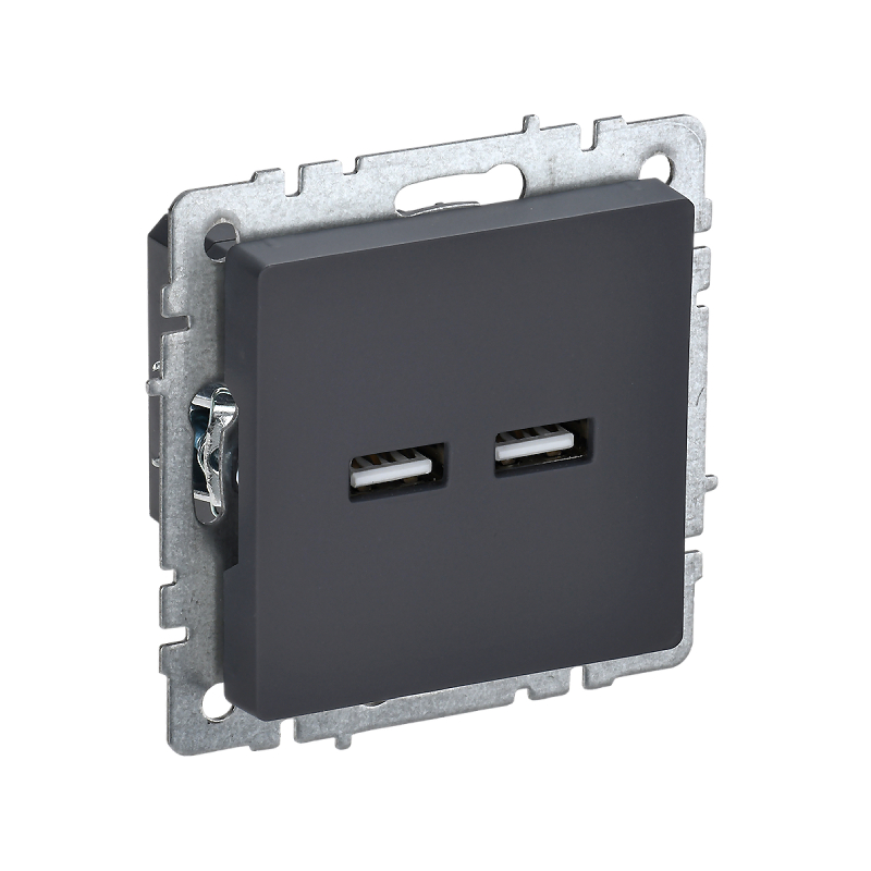 Роз. USB A+A 3,1А б/рамки "BRITE" графит (1/80)