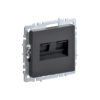 Розетка 2-ая компьютерная RJ45 кат.5E "BRITE" графит (1/100)