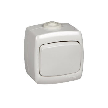 S283 о/у. 6А IP44 "Рондо" ВА 66-102Б-би переключатель (10/60) !!!