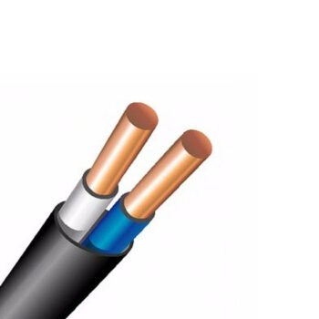 ВВГнг (А) 2х4  0,66 кВ (250)  ГОСТ EKT