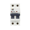 ARMAT (2ф) 10А C IEK (1)