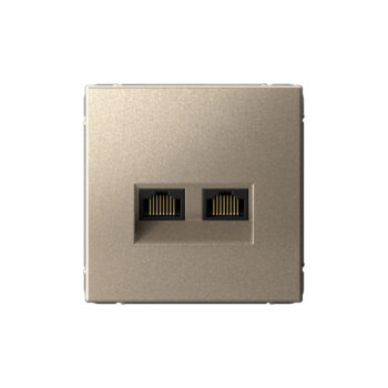 G036 Роз. 2-ная комп. RJ45+RJ45 6A механизм "ARTGALLERY" шампань GAL0588 (1)